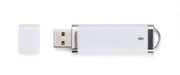 Pamięć USB BRIS 8 GB biały z logo