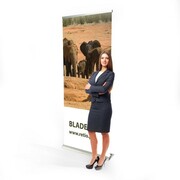 Wydruk do rollupa 200 x 210 cm Baner