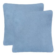 vidaXL 2 poduszki, bawełna o grubym splocie, 45x45 cm, jasnoniebieskie vidaXL 245098
