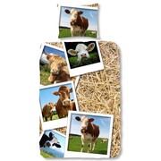Good Morning Zestaw pościeli 5269-P COWS 140 x 200/220 cm, kolorowy Good Morning 5269.99.01