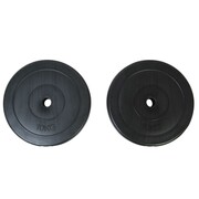 vidaXL Dwa talerze, obciążniki 10kg każdy vidaXL 90269