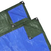 vidaXL Plandeka, przykrycie (5 x 6 m) niebiesko-zielona vidaXL 140532