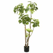 Emerald Sztuczne drzewko polyscias, 135 cm, 420292 Emerald 420292