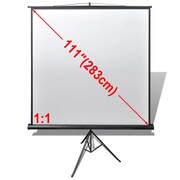 vidaXL Ekran projekcyjny, na stojaku z regulowaną wysokością 200 x 200 cm 1:1 vidaXL 240727