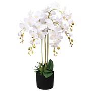 vidaXL Sztuczny storczyk z doniczką, 75 cm, biały vidaXL 244425