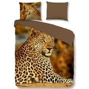Good Morning Zestaw pościeli 5704-P Leopard, 240x200/220 cm, kolorowy Good Morning 5704.99.03