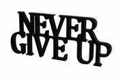 Napis 3D Never give up