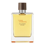 Hermes Terre D'Hermes woda toaletowa męska (EDT) 200 ml