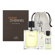 Hermes Terre D'Hermes woda toaletowa męska (EDT) 100 ml