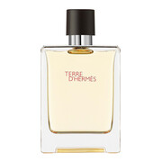 Hermes Terre D'Hermes woda toaletowa męska (EDT) 100 ml