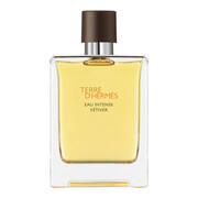 Hermes Terre D'Hermes woda toaletowa męska (EDT) 100 ml