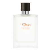 Hermes Terre D'Hermes woda toaletowa męska (EDT) 100 ml