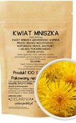 Mniszek kwiat 50g ZIELARZPOLSKI