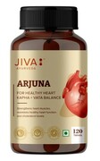 JIVA Arjuna 120 tabletek