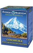 Herbatka ajurwedyjska GOKSHURA na bóle pleców i kręgosłupa 100g Everest Ayurveda