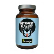 Ostropest Plamisty ekstrakt 80% 60 kapsułek 250 mg, Hanoju