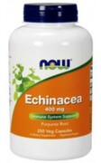 NOW Foods Echinacea (jeżówka) 400mg - 250 kapsułek