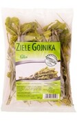 Gojnik ziele 20g Flos