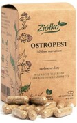 Ostropest - Wsparcie wątroby i układu pokarmowego - 60 kapsułek Ziółko