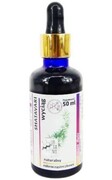 Shatavari wyciąg 50 ml Organis
