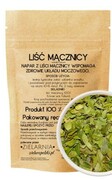Mącznica liść 50g ZIELARZPOLSKI