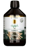 Joy Day Ashwagandha 500ml