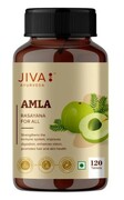 JIVA Amla 120 tabletek