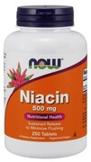 Witamina B3 - Niacyna (Niacin) 500 mg (250 tabl.)