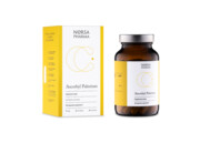 NORSA PHARMA Ascorbyl Palmitate (90 kaps.)
