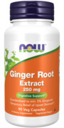 Ginger Root Extract - Wyci? g z korzenia imbiru 250 mg (90 kaps.)