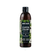 Barwa Ziołowa szampon ziołowy do włosów normalnych i suchych Brzoza 250ml (P1)