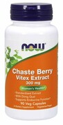 Chaste Berry Vitex Extract (90 kaps.)