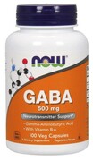 GABA 500 mg (100 kaps.)