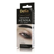 Delia Eyebrow Expert kremowa henna do brwi 1.0 Czerń 15ml (P1)