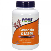 Celadrin 500 mg i MSM 100 mg (120 kaps.)