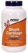 Chrz? stka rekina - Shark Cartilage (300 kaps.)