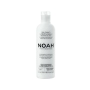 Noah For Your Natural Beauty Nourishing Conditioner Hair 2.1 odżywka do włosów Mango Rice Proteins 250ml (P1)