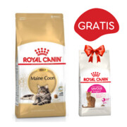 Royal Canin Maine Coon 4kg + Royal Canin Savour Exigent FHN 35/30 400g GRATIS + prezent ROYAL CANIN