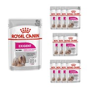 Royal Canin Exigent CCN in loaf (pasztet) 12x85g + prezent ROYAL CANIN