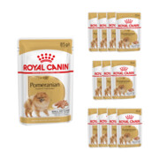 Royal Canin Adult Pomeranian in loaf (pasztet) 12x85g + prezent ROYAL CANIN