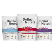 Dolina Noteci Junior mix 3 smaków 300g x 12 + prezent DOLINA NOTECI