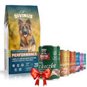 Divinus Performance 20kg + Fafik karma mokra mix smaków 6x400g + prezent DIVINUS