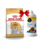 Royal Canin Adult Maltese 1,5kg + Koema Olej z łososia 1l + prezent ROYAL CANIN
