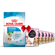 Royal Canin Mini Starter Mother & Babydog 8kg + Koema Junior mix 3 smaków 400g x 6 + prezent ROYAL CANIN