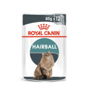 Royal Canin Feline Hairball Care FHN w sosie 12x85g + prezent ROYAL CANIN