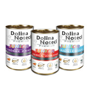 Dolina Noteci Junior mix 3 smaków 400g x 12 + prezent DOLINA NOTECI