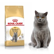 Royal Canin British Shorthair 0,4kg - zdjęcie 1