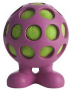 JW Pet Hol-ee Cuz Small + prezent JW PET