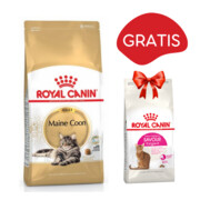 Royal Canin Maine Coon 2kg + Royal Canin Savour Exigent FHN 35/30 400g GRATIS + prezent ROYAL CANIN