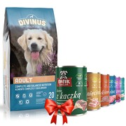 Divinus Adult 20kg + Fafik karma mokra mix smaków 6x400g + prezent DIVINUS